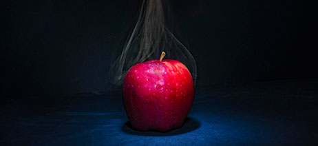 Slice of pumpkin pie with a cannabis leaf on top, next to apples and a mason jar of flower