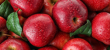 Pile of juicy red apples covered with water drops