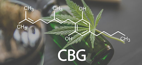 CBG molecule in front of a cannabis fan leaf
