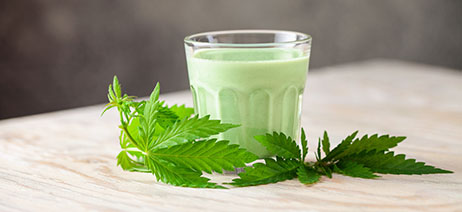 Green liquid in a small drinking glass with cannabis leaves in front