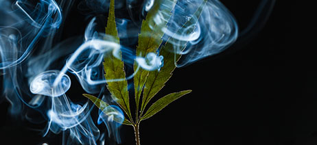 Cannabis leaf on a black background with smoke swirling around it