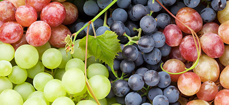 Grapes of all colors bunched together