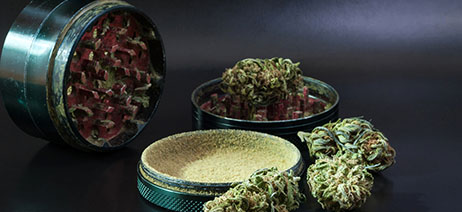 Disassembled grinder with ground cannabis inside