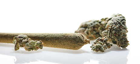 Infused pre-rolls with small nuggets of flower sprinkled around it