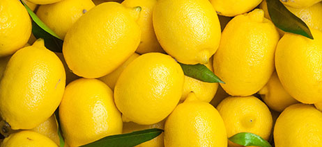 Pile of lemons with some leaves scatter throughout