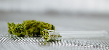 Clear glass one-hitter with a small amount of flower at the end, laying next to a large cannabis bud