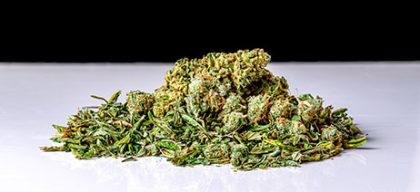 Piles of cannabis shake on a table