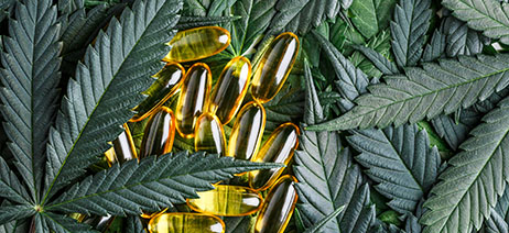 Pill gel capsules on top of a pile of cannabis leaves