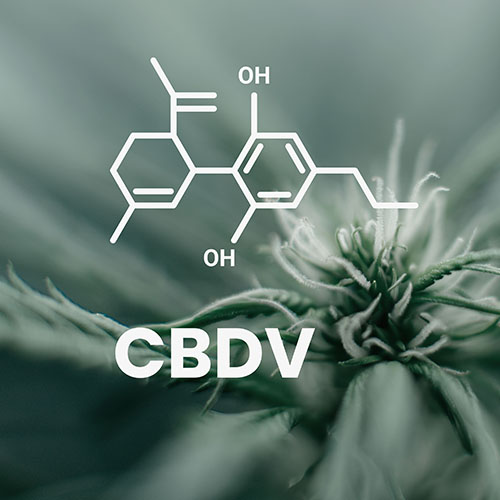 CBDV molecule over cannabis fan leaves