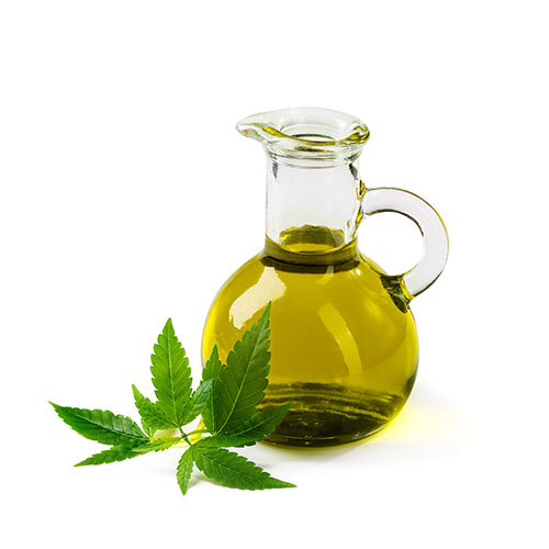 Cannabis cooking oil in a glass pitcher next to cannabis leaves