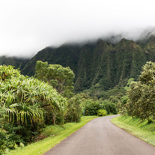 Botanical park in Hawaii