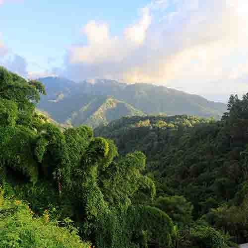 Mountains in Jamaica
