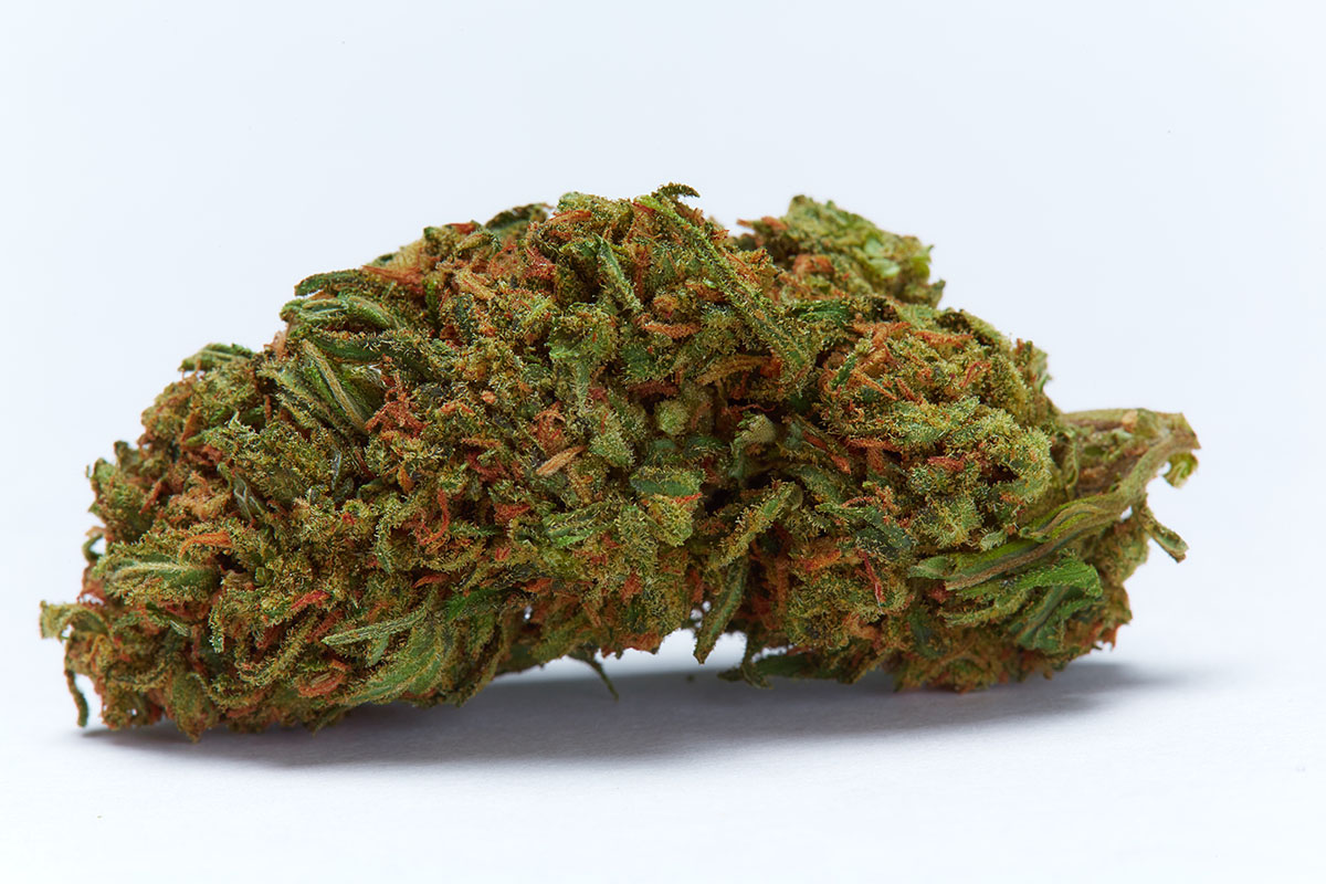 Durban Poison marijuana flower bud
