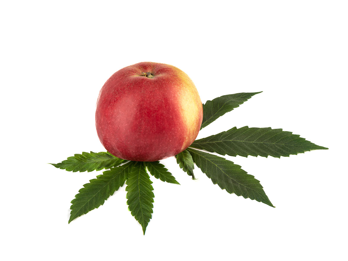 Apple on top of a cannabis fan leaf