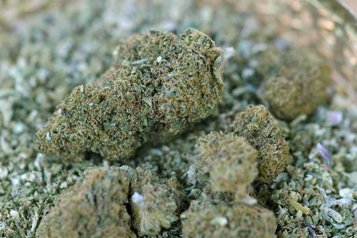 Sour Apple marijuana strain buds