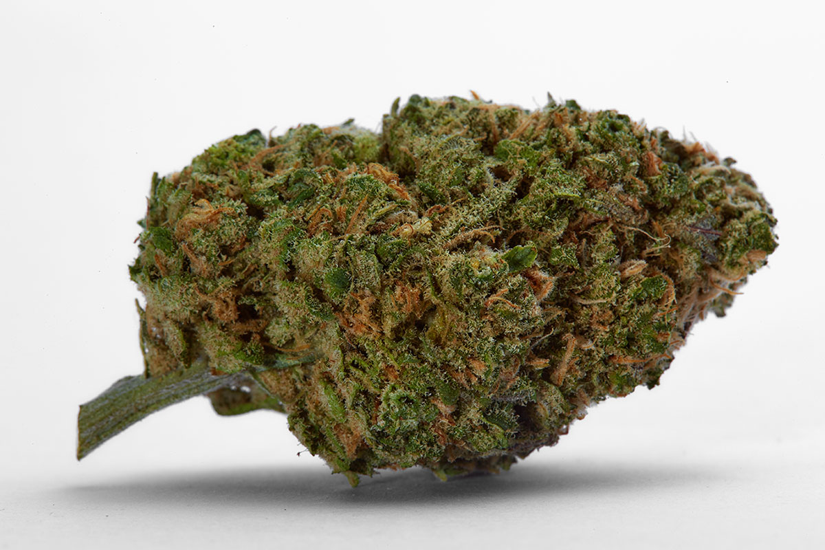 Bud of Blue Dream cannabis flower