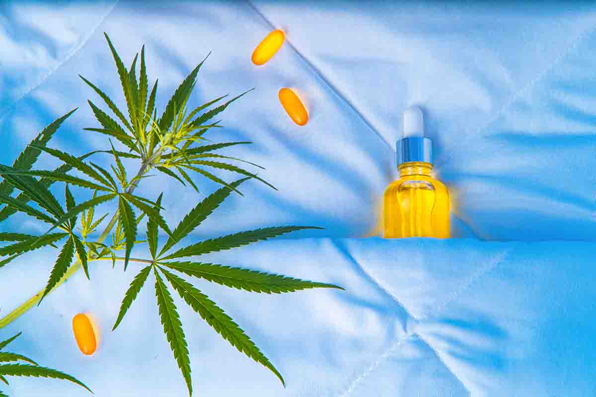 Tincture bottle under a blanket in bed surrounded by pills and a cannabis plant
