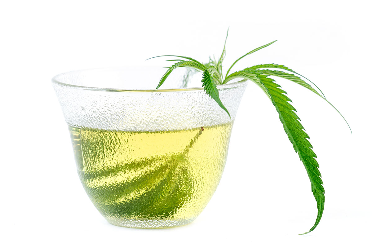 Glass mug of cannabis tea with a fan leaf in it