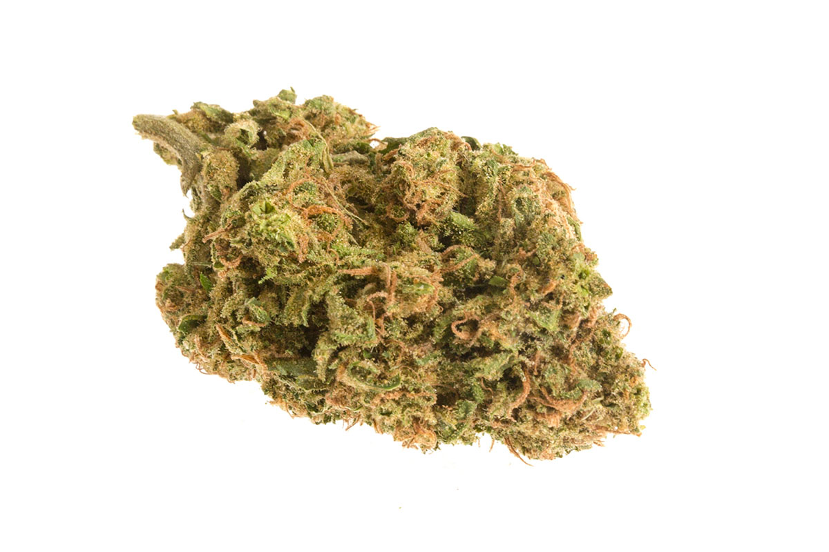 Cheese marijuana bud