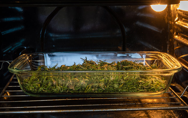 Cannabis flower in a clear baking dish sitting in the oven
