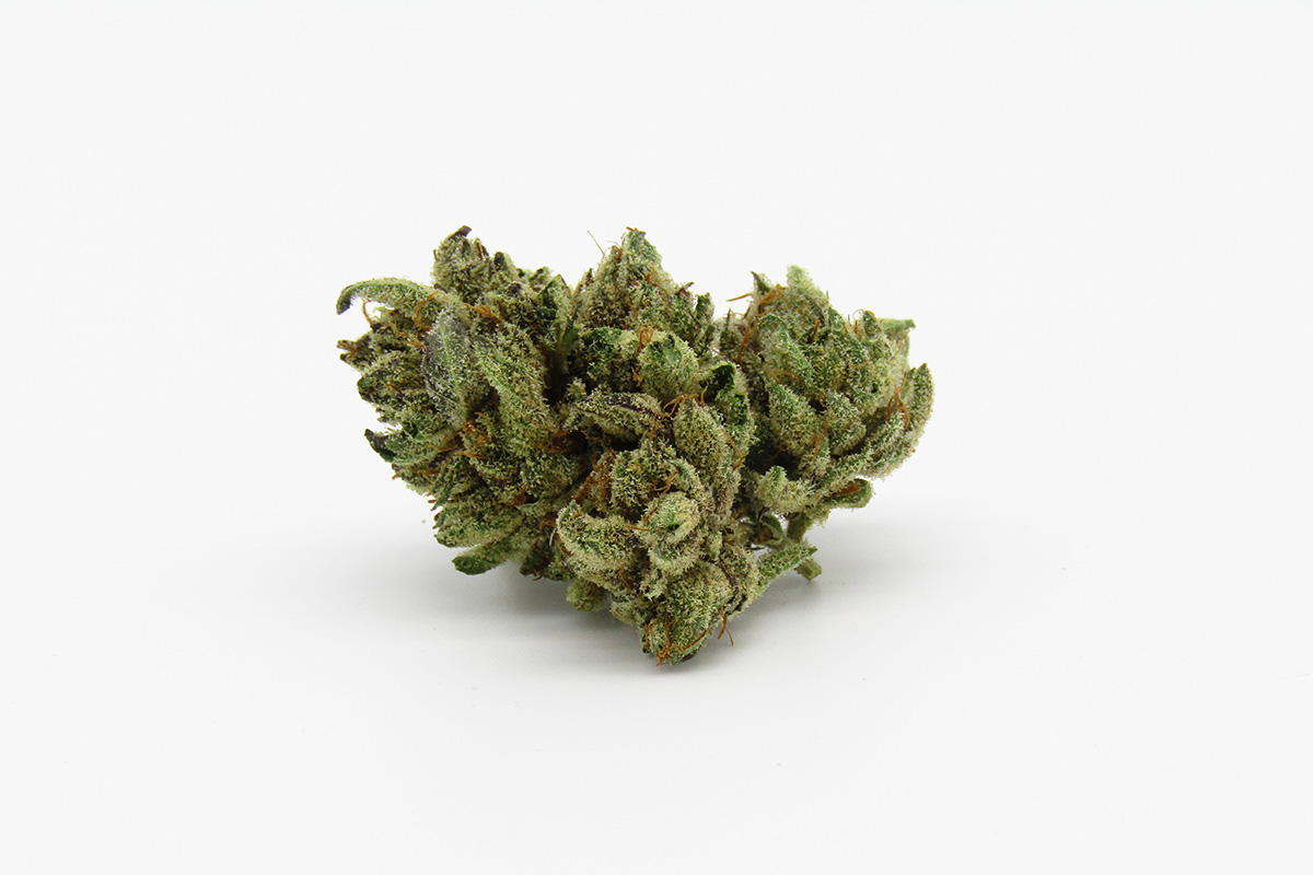 Bubba Kush flower bud on a white background
