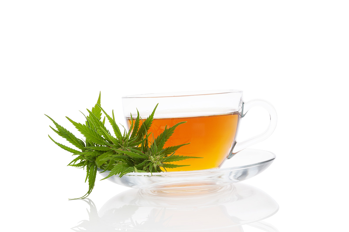 Glass tea cup on a glass saucer with a cannabis plant on the saucer