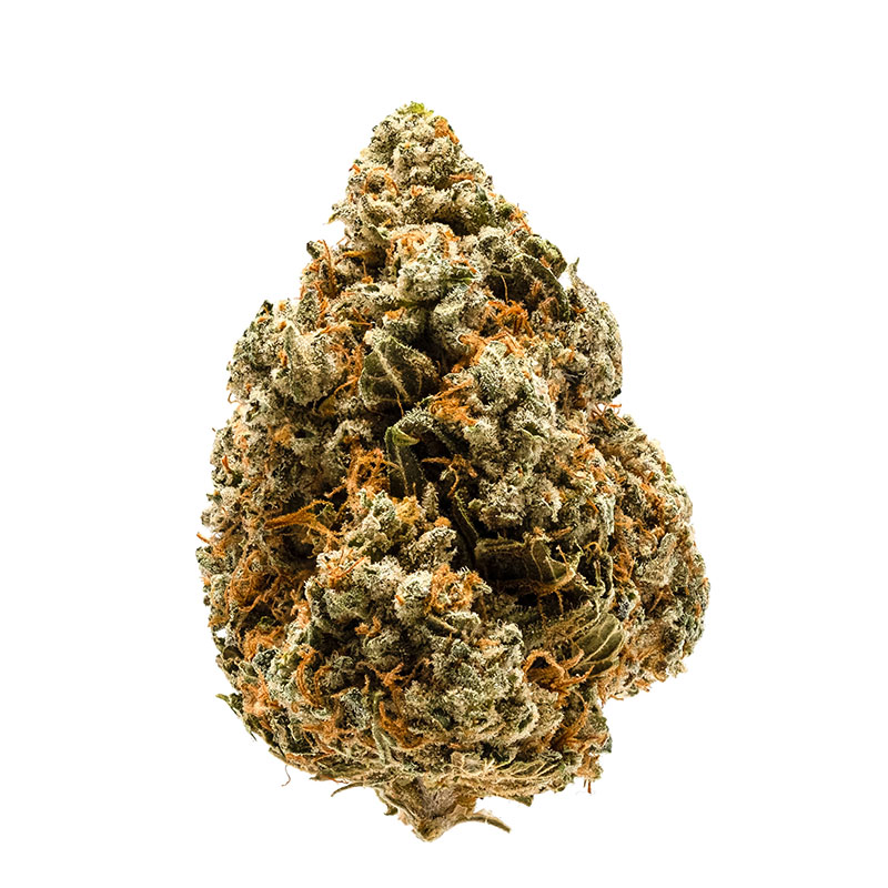 Bud of cannabis flower