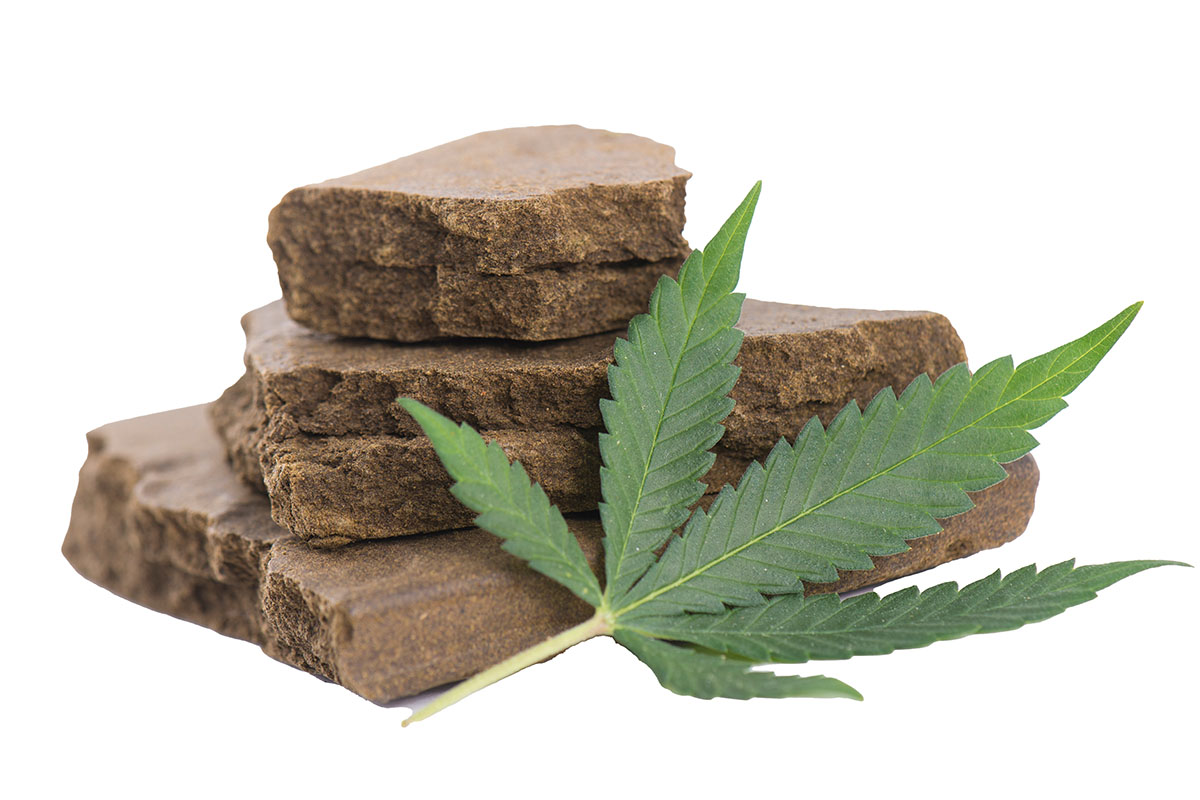 Bricks of hash next to cannabis leaves
