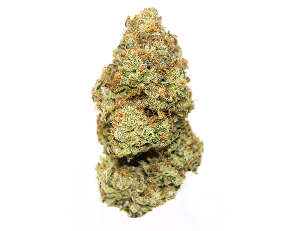 Lemon Tree cannabis flower