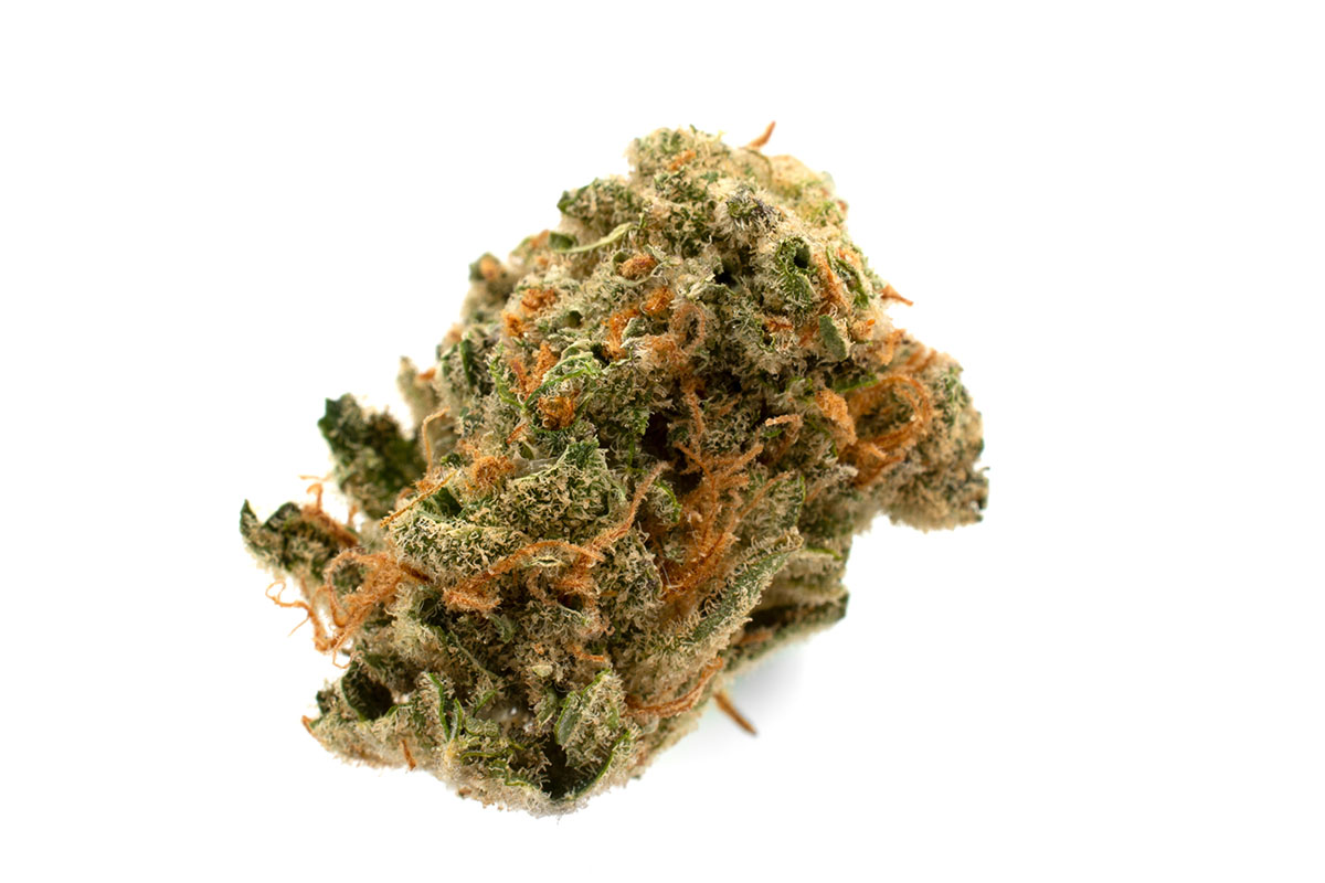 Cannabis flower bud of Super Lemon Haze