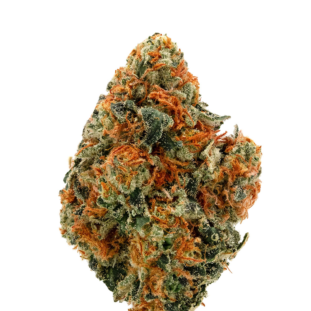 Cannabis bud of DoSiDo strain