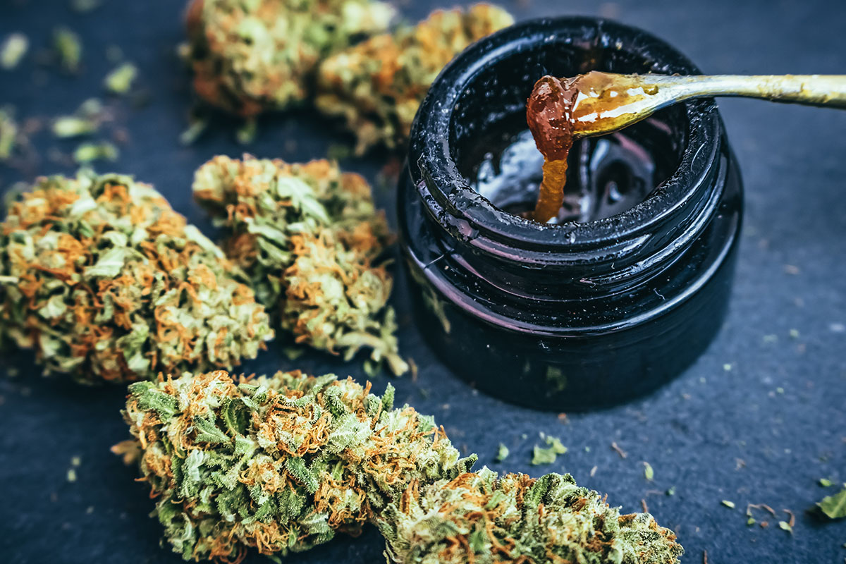 Live resin in a dark jar next to cannabis flower buds
