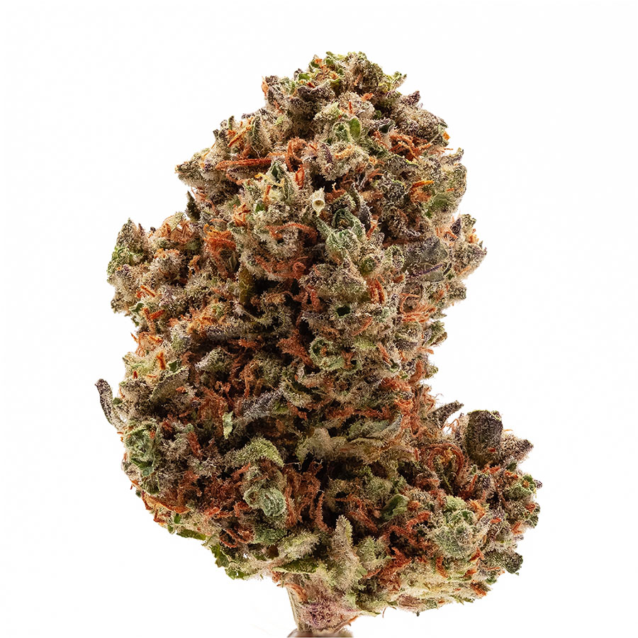 Mango marijuana strain flower