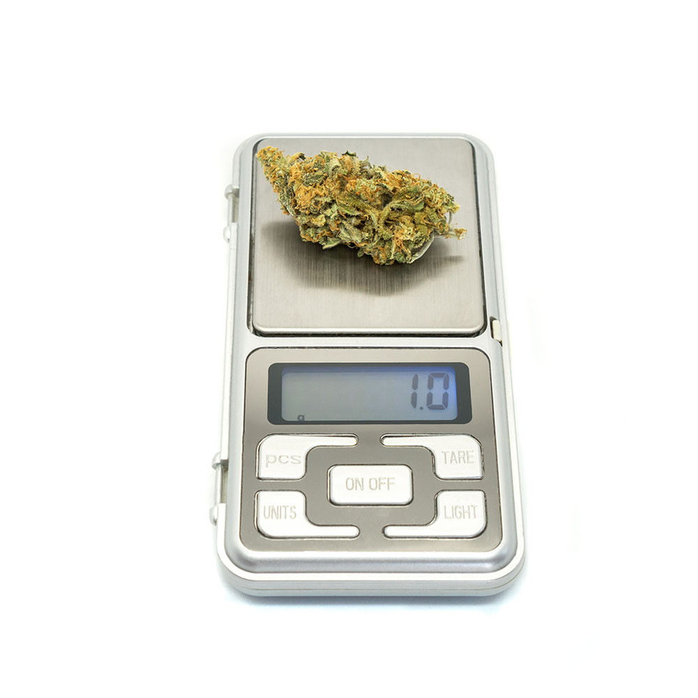 Cannabis buds sitting on a digital scale