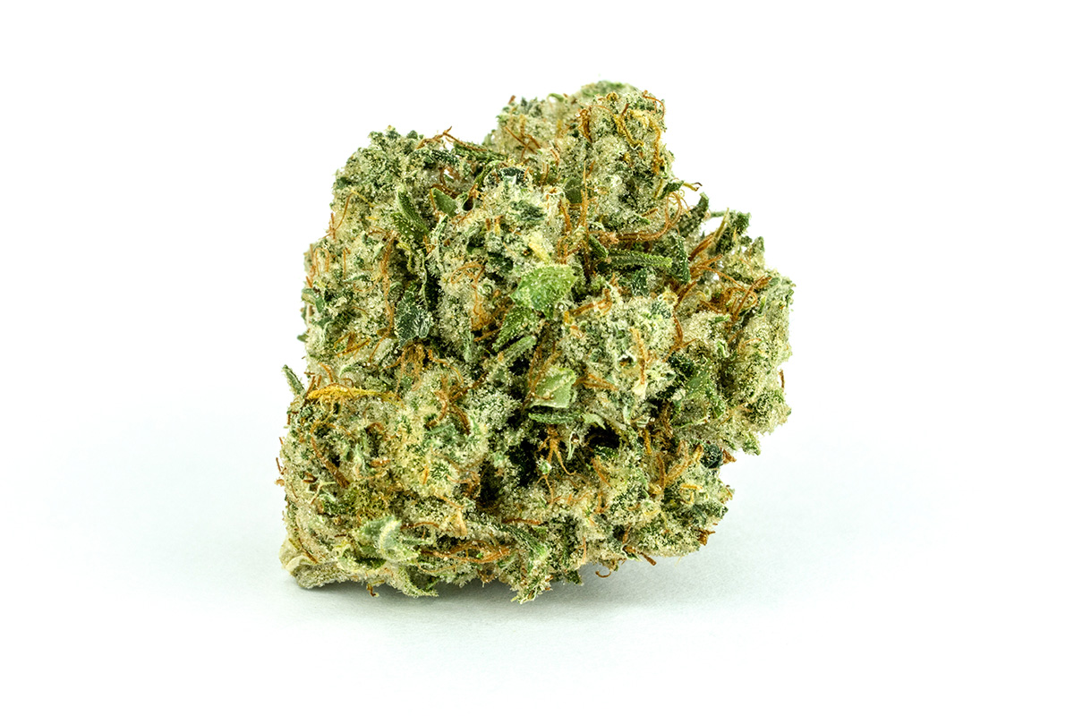 Northern Lights cannabis flower on a white background