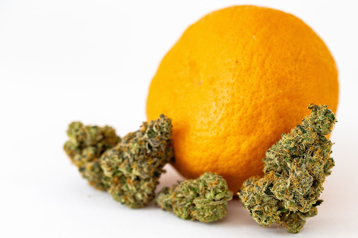 Whole orange with cannabis flower buds in front of it