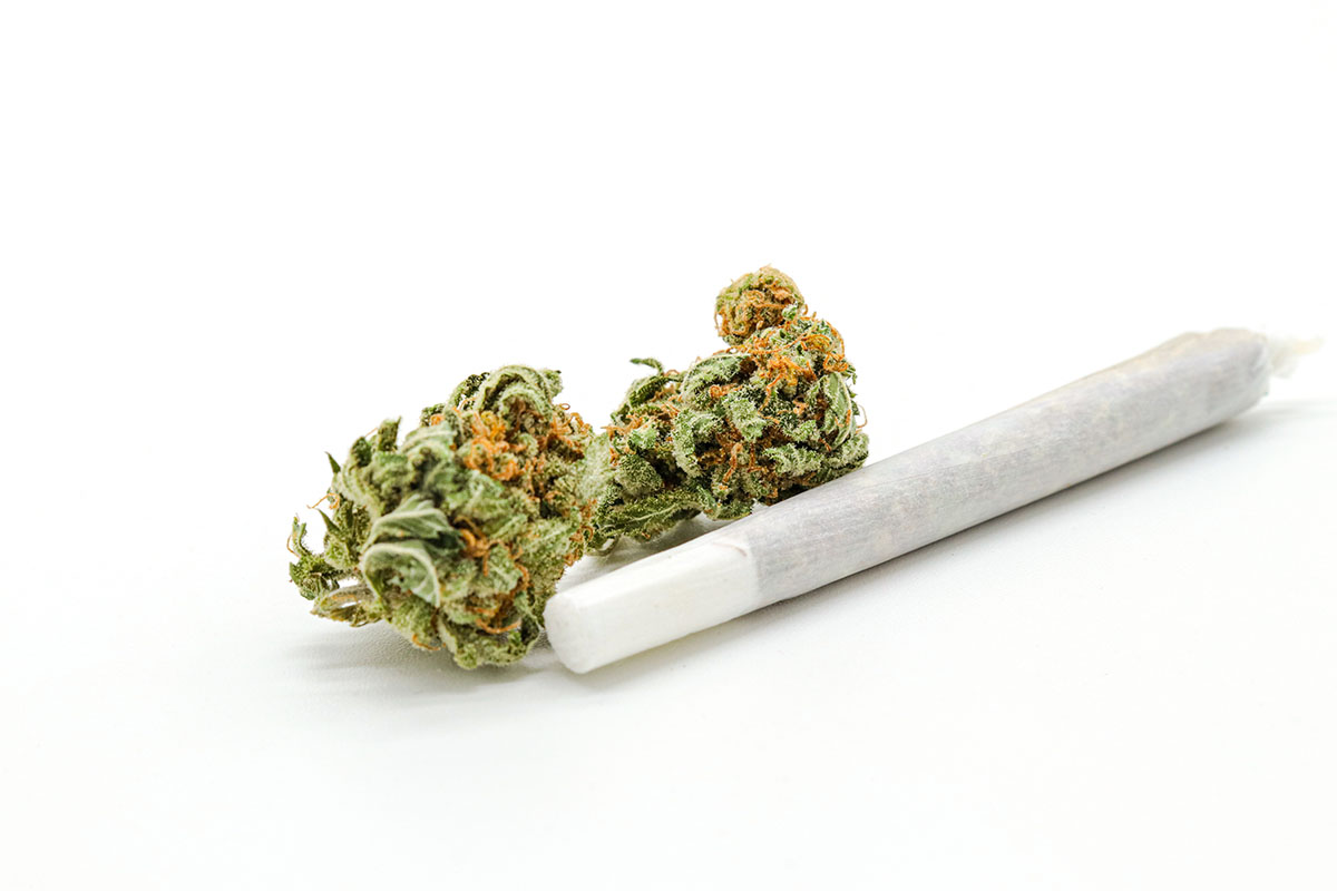 Marijuana joint with crutch next to a flower bud