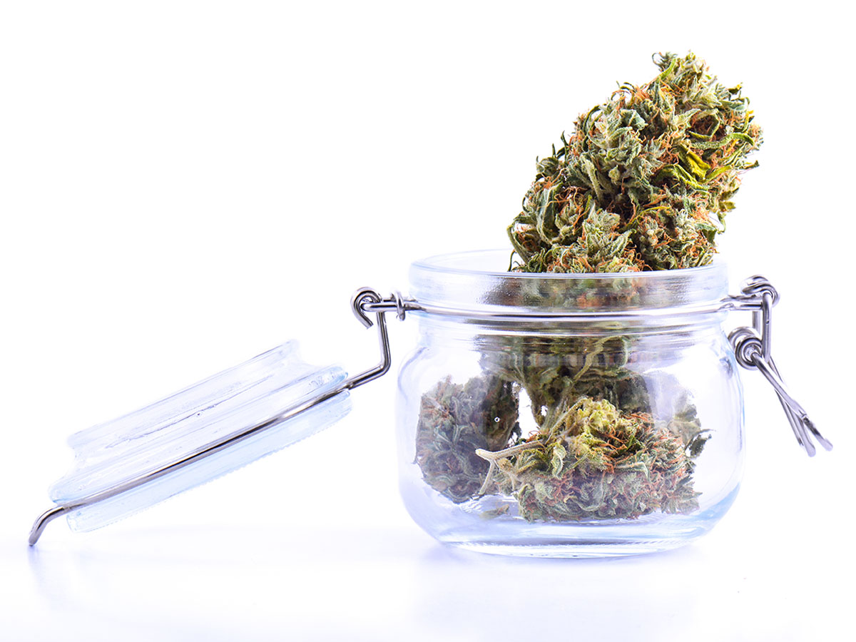 Large cannabis flower bud towering out of a mason jar