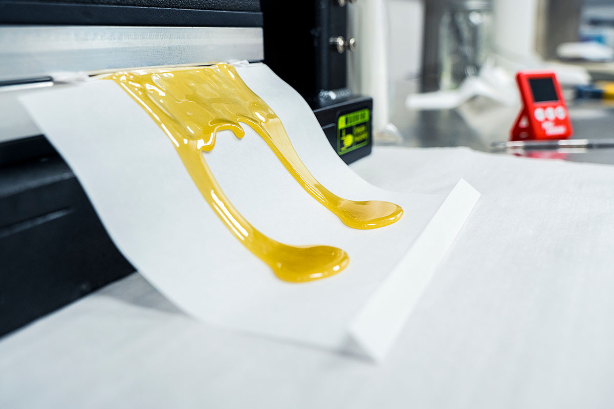 Marijuana rosin coming out of a rosin press