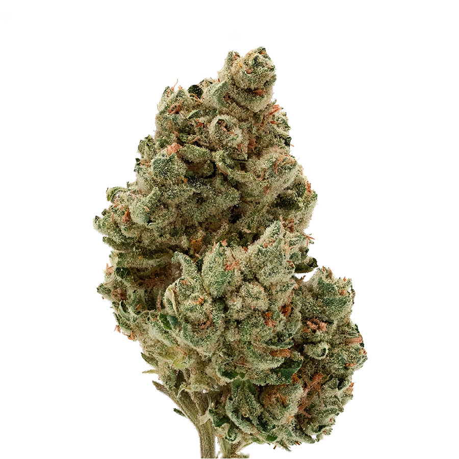 Bud of Strawberry Banana cannabis strain