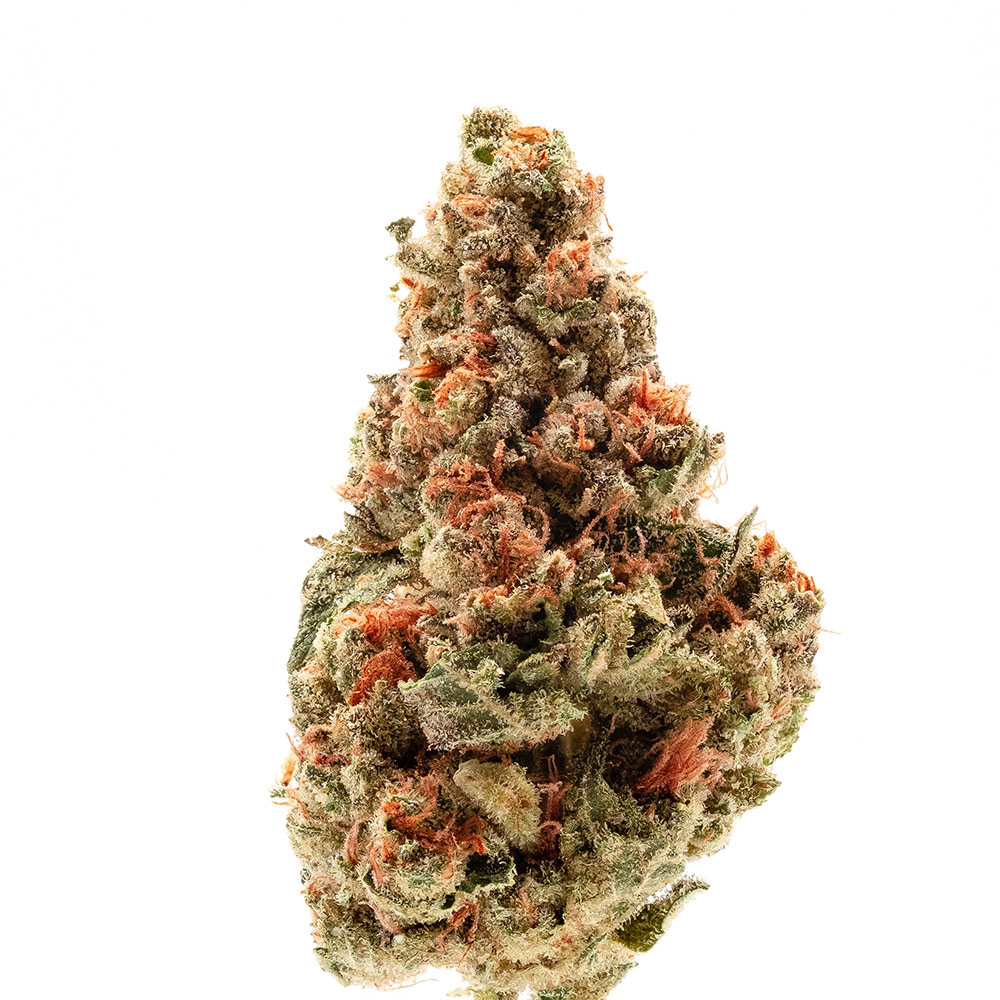 Raw cannabis flower bud