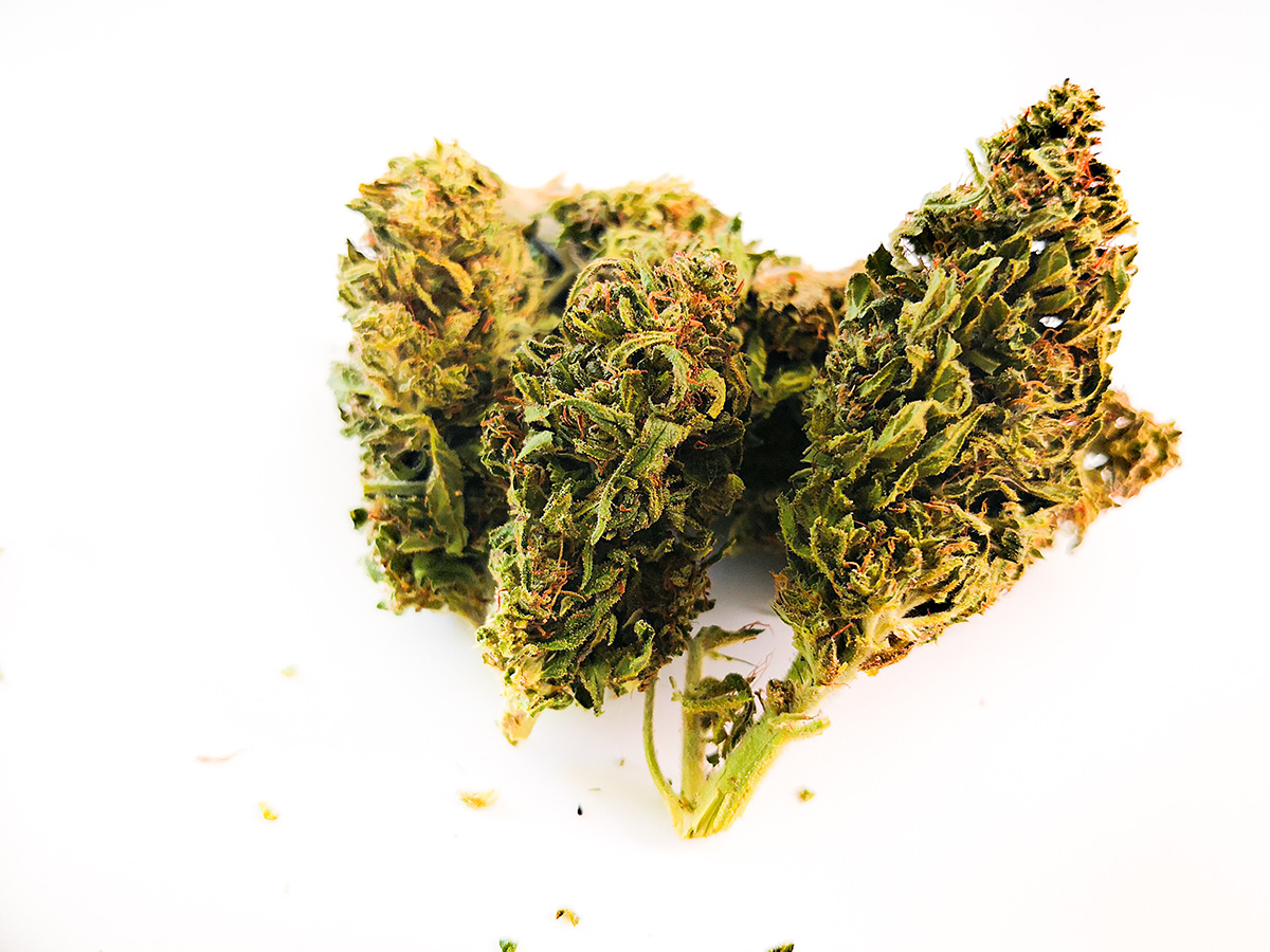 White Widow cannabis flower bud