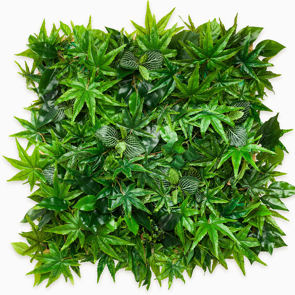 Garden bed of cannabis leaves with exotic leaves